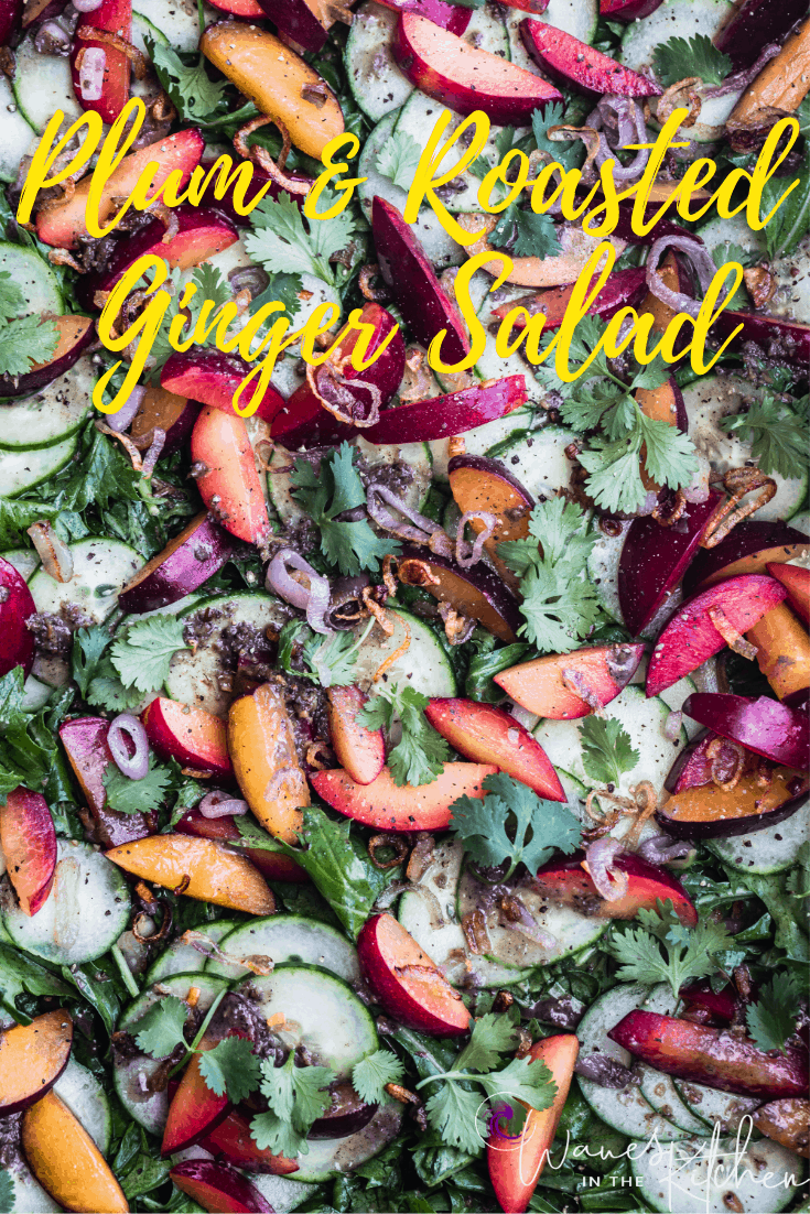 Plum & Cucumber Salad with Roasted Ginger Vinaigrette Recipe all done with cucumbers, plums, crispy shallots, greens, cilantro and dressing!