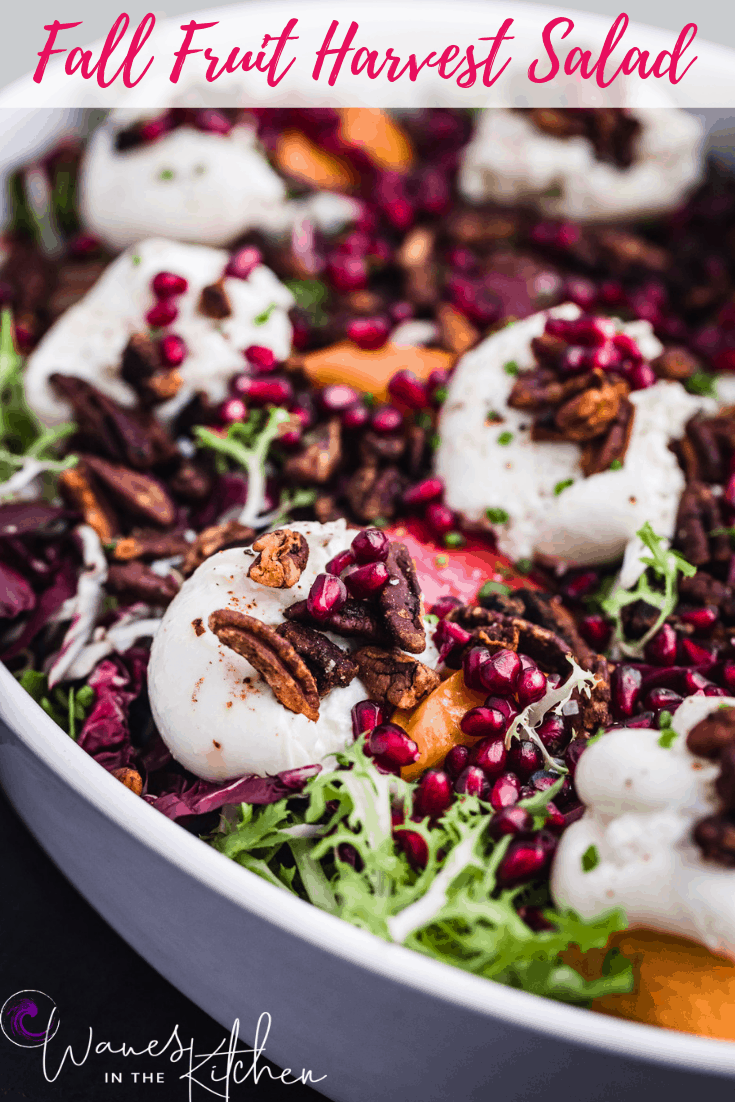 Frisee, radicchio, candied pecans, pears, pomegranates, persimmons, and burrata arranged on a serving plate. The fall fruit harvest salad is all done!