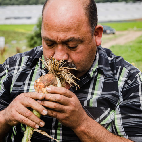 JSM Organics founder, Javier Zamora, smelling an onion.