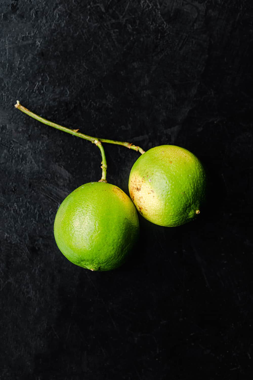 2 limes, still attached on the vine, on a black background, overhead shot.