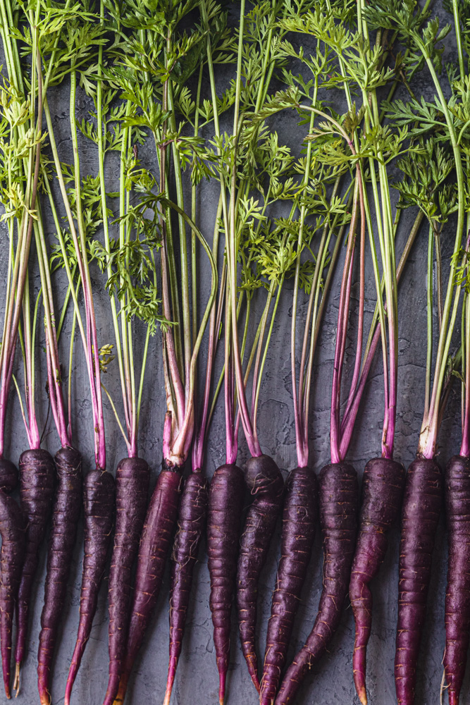 Purple carrots lined up side-by-side on a grey backdrop; overhead shot