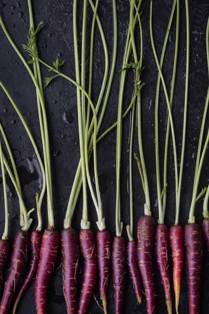 Purple carrots lined up on a black background; overhead shot