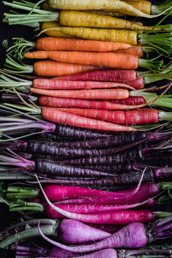 Rainbow carrots and radishes; dark purple, light purple, hot pink, pink, orange, yellow and white carrots and radishes lined up.