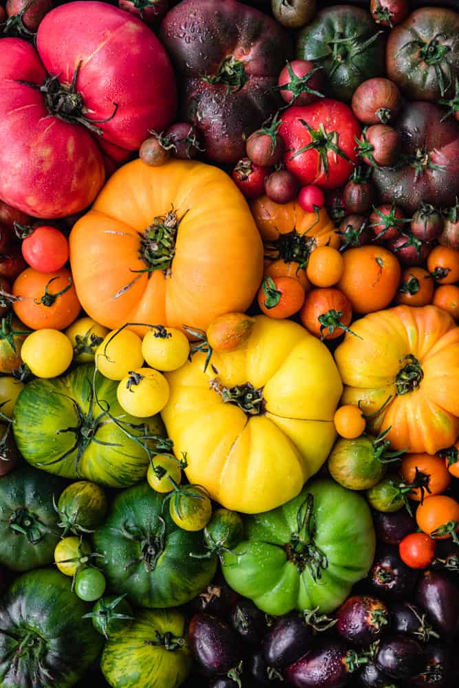 Rainbow cherry and heirloom tomatoes in red, orange, yellow, green and purple.