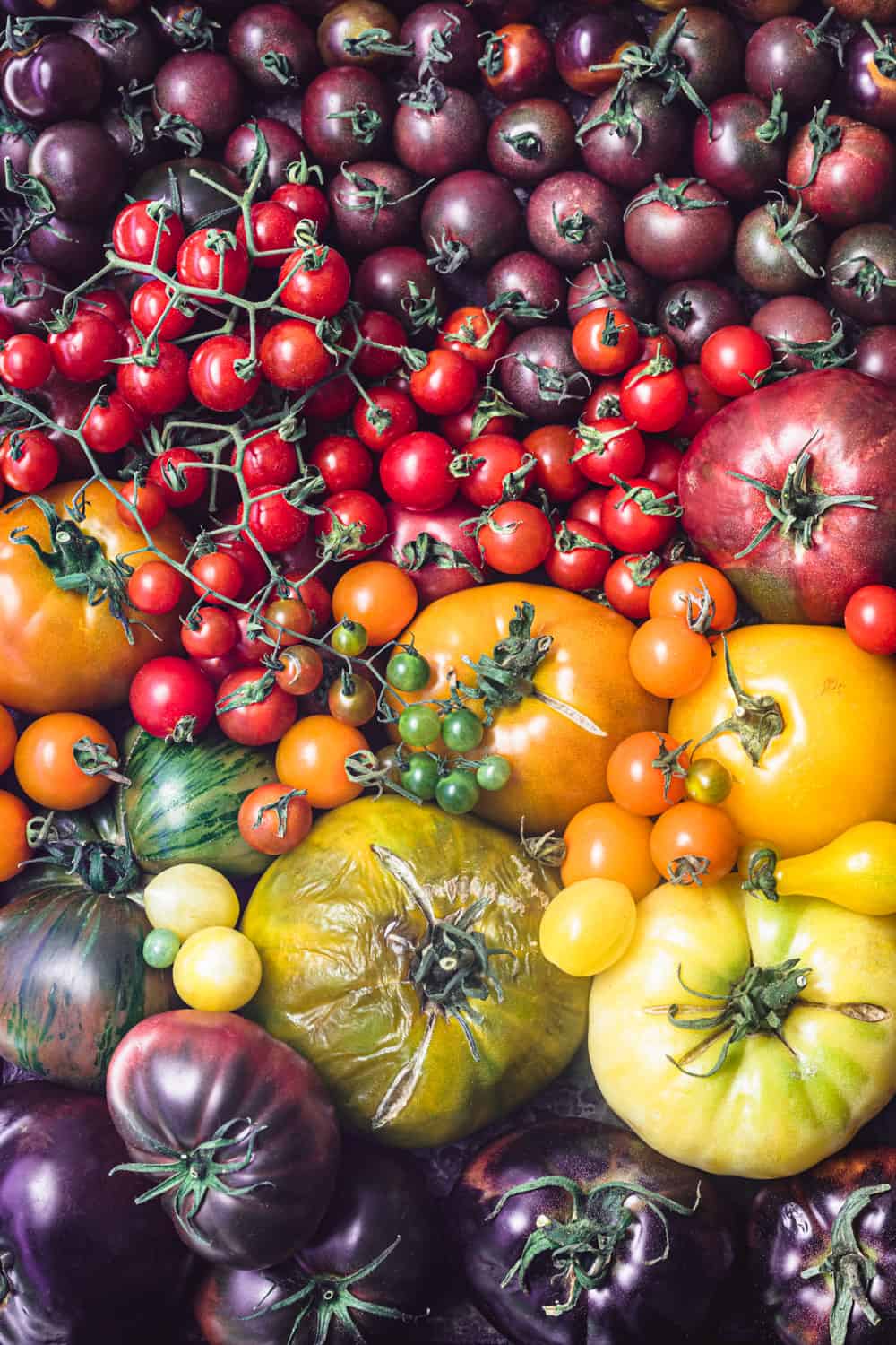 red, orange, yellow, green and purple fresh and whole tomatoes arranged like a rainbow.
