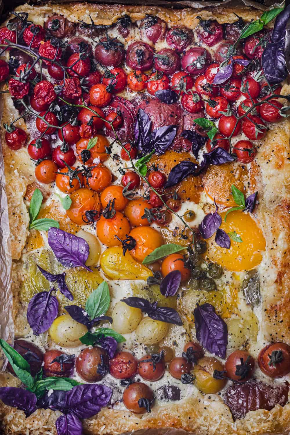 a very colorful tomato galette topped with purple and green basil.