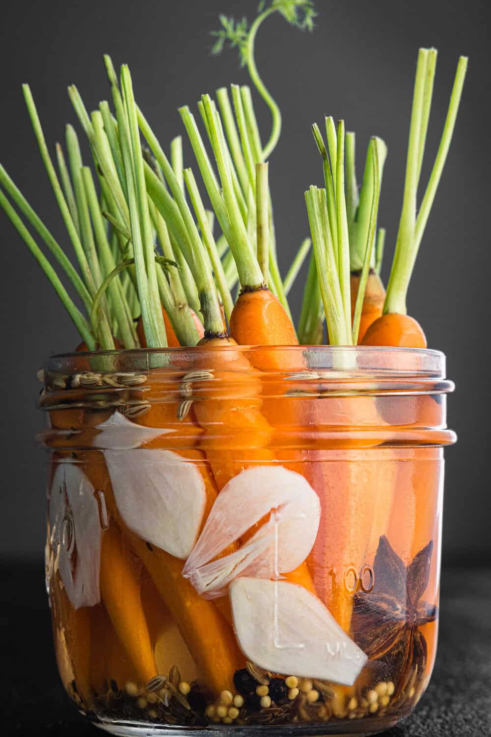 Pickled carrots with green tops in a glass jar with sliced garlic, star anise, mustard seeds, cumin seeds, and fennel seeds, on dark grey background, close-up side angle