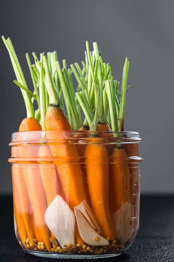 Carrots with green tops pickled in a glass jar with dried chile, star anise, and mustard seeds, fennel seeds and cumin seeds visible, dark grey background, close-up side angle